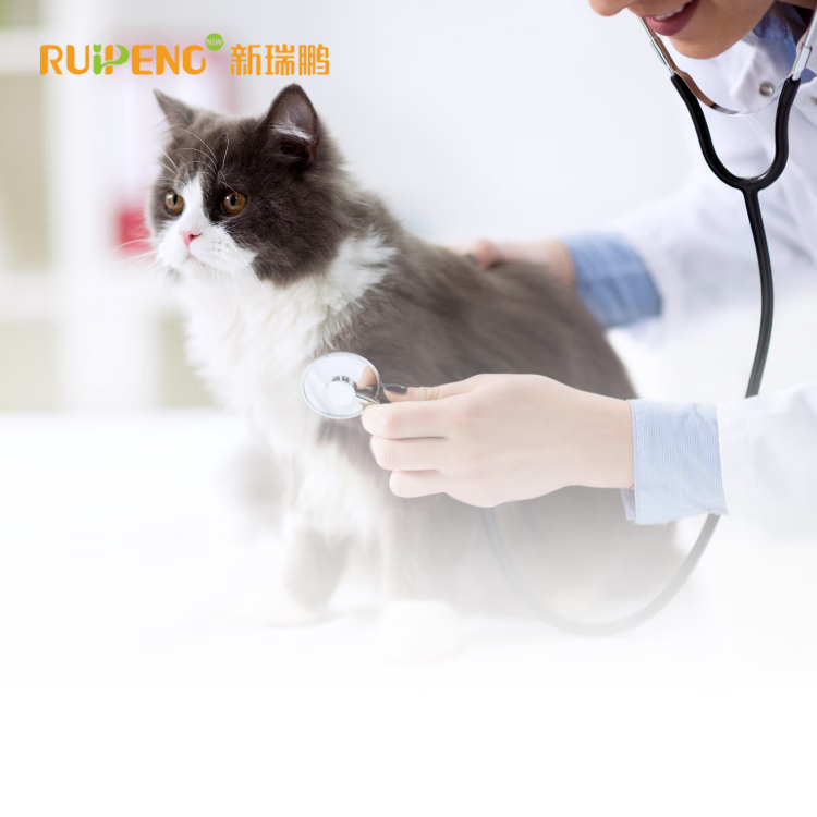 【账号直充】新瑞鹏宠物医疗月卡『1个月』