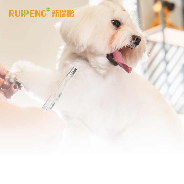 【账号直充】新瑞鹏宠物洗美月卡『1个月』