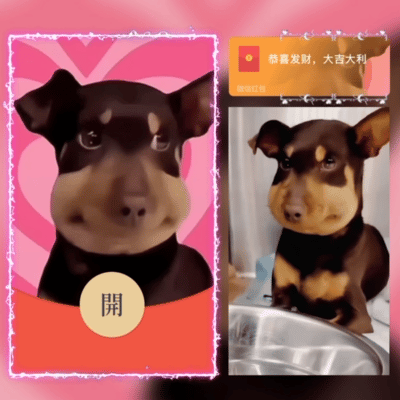 【红包封面】蜜蜂狗委屈狗/wl