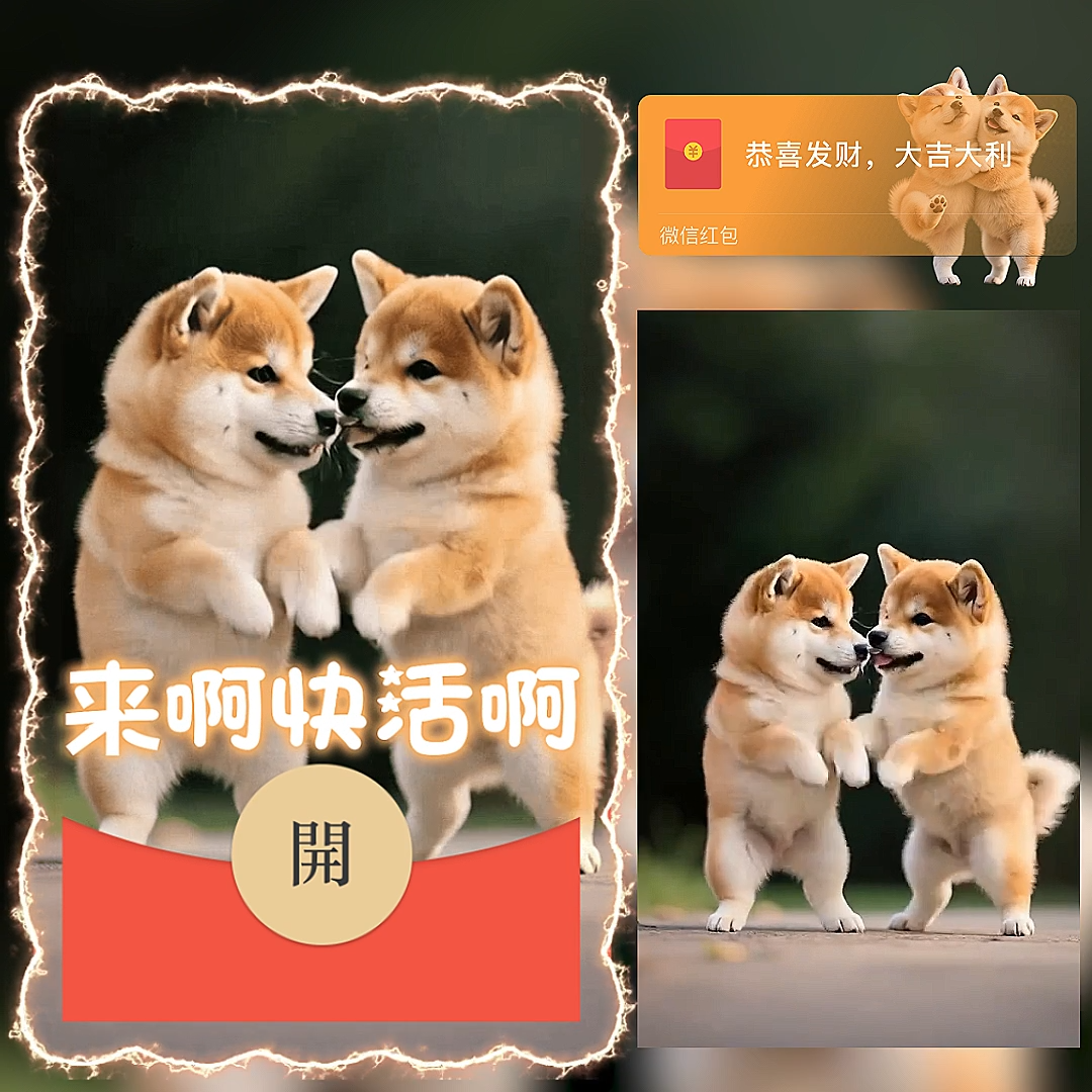 【红包封面】一对快活单身狗/ln