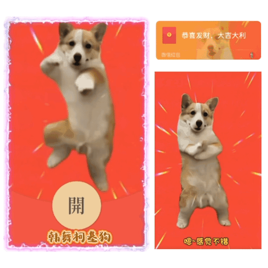 【红包封面】韩舞柯基狗