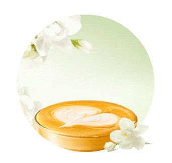 星巴克 | 茉莉100拿铁[超大杯]