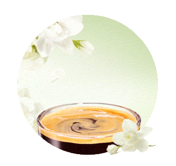 星巴克 | 茉莉100美式[大杯]